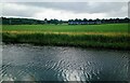 Canal with railway line beyond in FK4 1AX