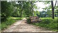 Footpath on forest track through Church Copse in SP5 1AN