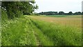 Field-edge footpath from Pitton to Farley in SP5 1EB