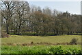 Woodland by Potsman Heath Channel in TN30 7PT