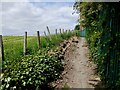 Path by Hoyland Lowe in S74 0HR