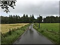 Minor road near Lerrocks in FK16 6EJ