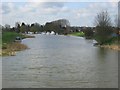 The Great Ouse looking south near Littleport in CB6 1QG
