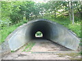 Rural East Lothian : North End of A1 Underpass Near Brand's Mill in EH42 1RW