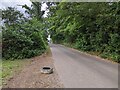 Old tyre marking a gate entrance in TA2 8NR