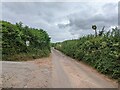 Lane passing the entrance to Rydon Farm in TA7 0BY