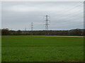 Field and power lines, Knighton  in B49 5LT