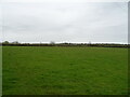 Footpath over field, Flyford Flavell in WR7 4DG