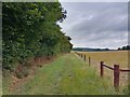 Footpath towards Sherborne St John in RG24 9JQ