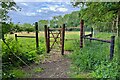 Tall gate on the path by Philpott's Wood in SG9 0RE