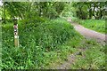 Junction of footpaths and byways at the edge of the wood in SG9 0RE