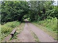 Bench next to the old railway track cycle route in SN11 0LT