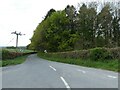 Road passing woods at Pwll Crwn in SY23 3EE