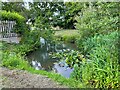 Pond at Hay Green Farm in SG8 9FP