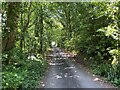 Farm access road, Wayford Woods in TA18 8QJ