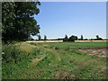 Potato field off Lodge Lane in PE30 3PD