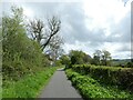 Severn Way (NCN81) east of Llanllwchaiarn in SY16 3AJ