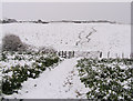 Two kissing gates on the Bishopstone Footpath, Seaford, East Sussex in BN25 2UD