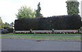 Hedge and floral display on Welford Road, Wigston Magna in LE18 3PS