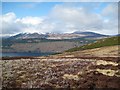 Burnt heather above Loch Tay in PH15 2HP