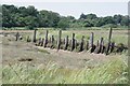 Old Jetty on St Osyth Creek in CO16 8EZ