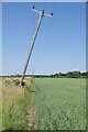 Wonky Power Poles by Footpath 2 in CO16 8HW