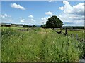 Overgrown green lane in BD21 5PX