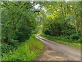 Lane towards North End in RG20 0AX