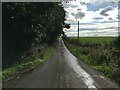 Minor road near Kinmount House in DG12 5RL