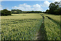 Farmland, Heddington in SN11 0PR