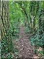 Tree lined footpath out of Sandon in SG9 0QS
