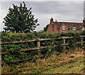 House and tree, Old Gore, Herefordshire in HR9 7XU