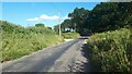 Lane approaching Horse Copse in BH21 4JT