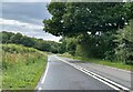A339 approaching Bylanders Copse in GU34 5SD