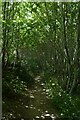 Path in Duchess Plantation in TN15 0HX