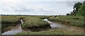 Saltmarsh Panorama in CO7 0AR