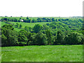 The valley of Rowley Burn below Winter House in NE46 2LD