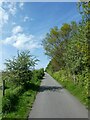 Cycle route (NCN568) by marshes south of Nessholt in CH64 4BB