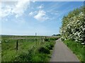 Marshland by Dee Estuary and cycle route (NCN568) to Nessholt in CH64 4BB