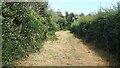 Grassy footpath east of Brownwich Lane in PO14 4NX