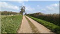 Bridleway at Court Farm in CO10 7PQ