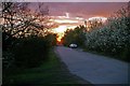 Sunset in Peartree Lane in Bulphan