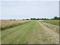 Grass strip between wheat field and drain off Spark's Lane in PE12 6RU