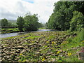 River Swale at Marble Scar in DL11 6LE