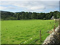 Grass field at Derculich in PH9 0LR