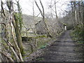 Footpath Approach to Ashford Bobbin Mill in Ashford in the Water