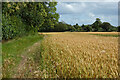 Farmland, Little Missenden in HP6 5SQ