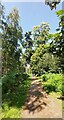 Footpath - RSPB The Lodge in SG19 2DA