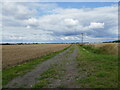 Farm track off West Cobb Gate in Moulton, Weston and Cowbit Ward