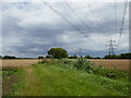 Underneath the wires near Penn's Farm in PE12 6JZ